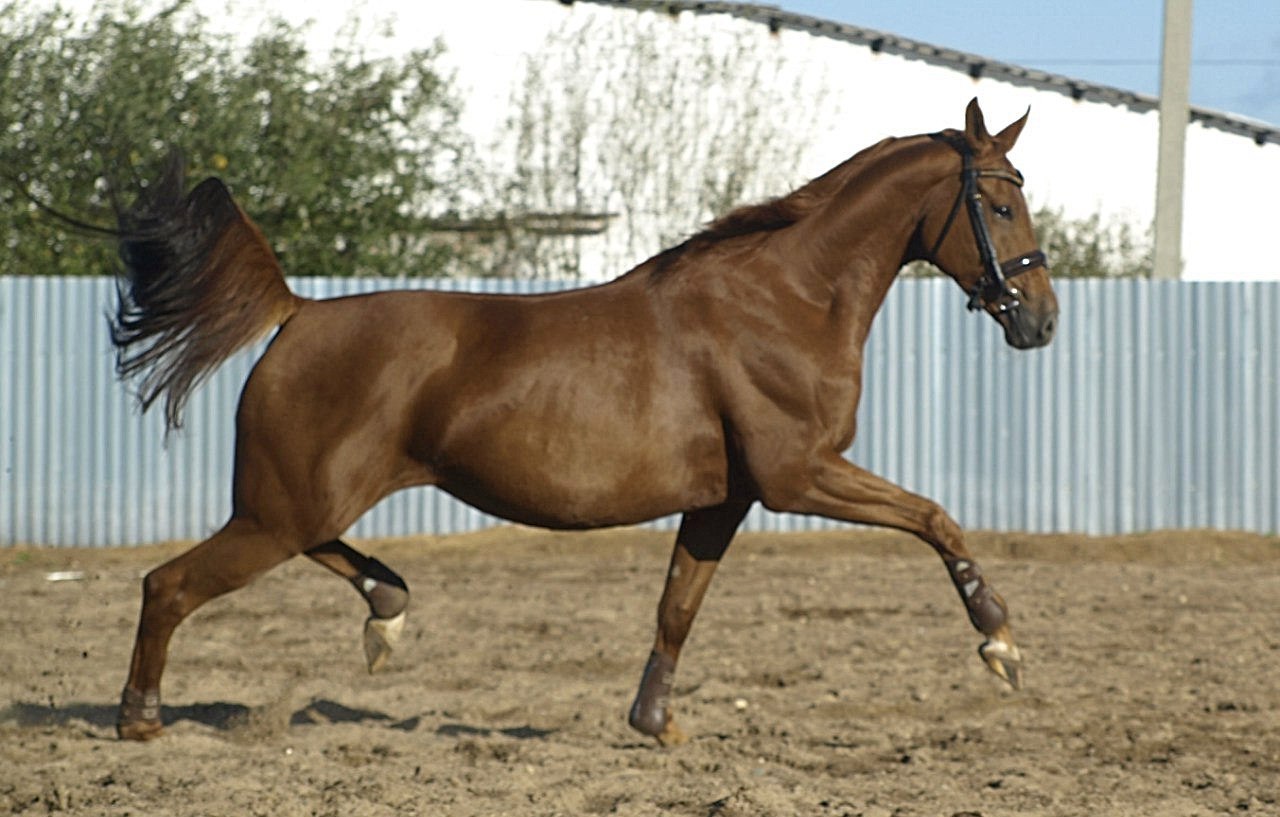    !  !   .  200  ... - 7