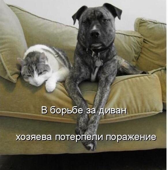  -  - 7  2018  03:32