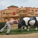 ���� ��������, ��������, 42 ���� - ��������� 4 ������� 2017