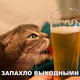 ���� ����, ������, 54 ���� - ��������� 19 ��� 2018