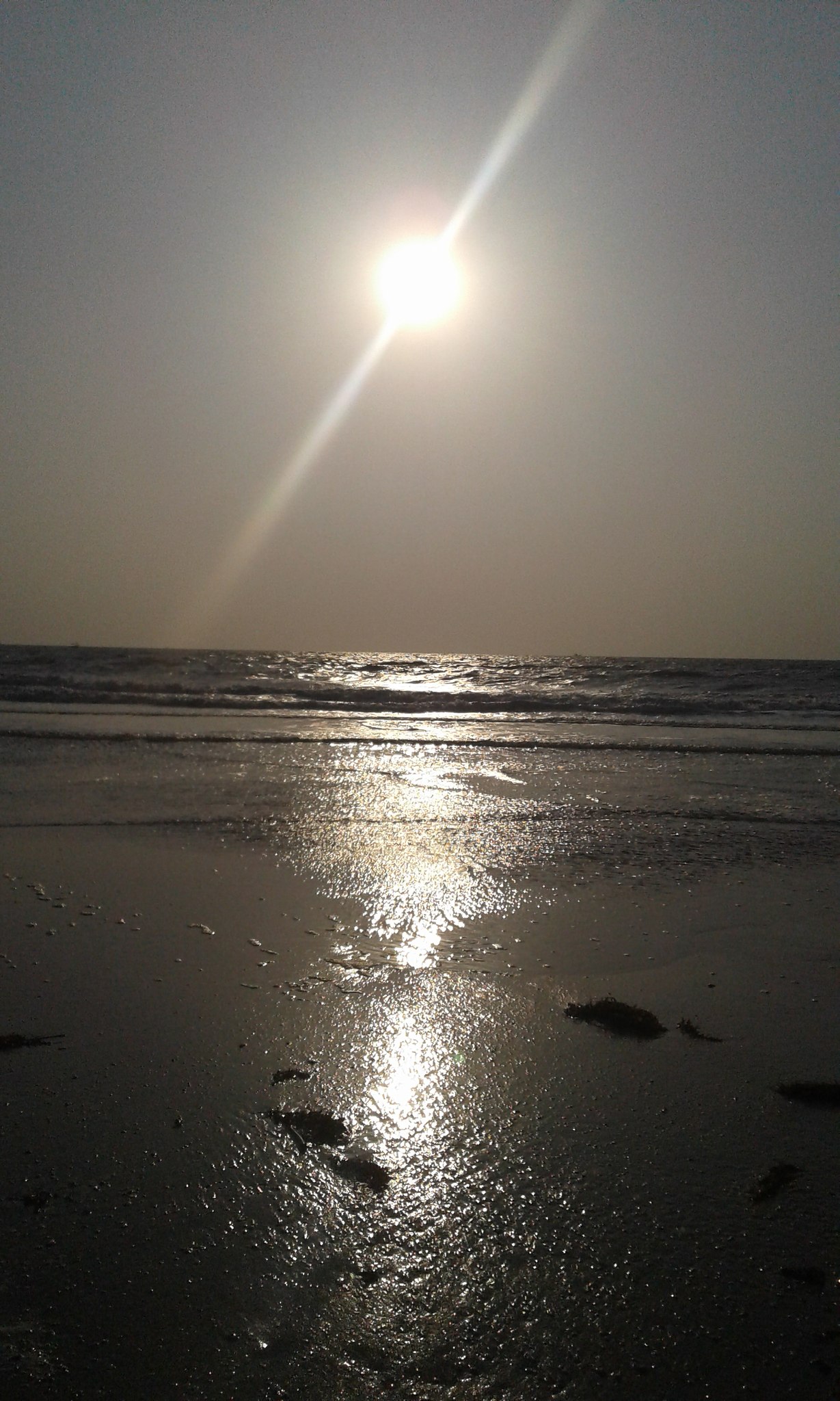 ������� ��������� - 29 ������ 2018 � 13:42