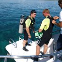 ���� ������, �����, 48 ��� - ��������� 11 ������� 2017 � ������ ���� ����������