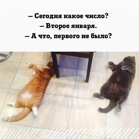  -  - 4  2018  03:55
