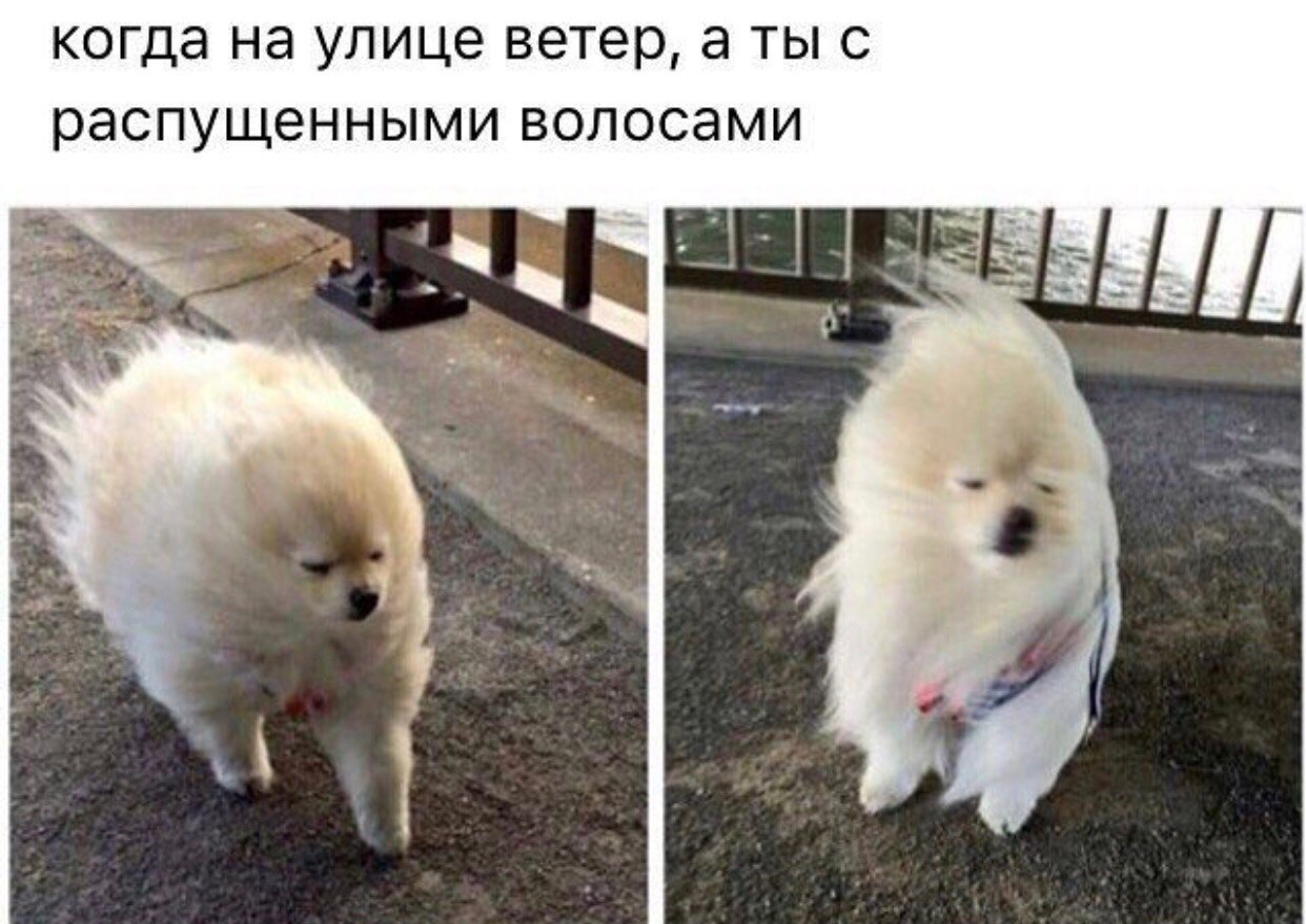    - 2  2018  02:52
