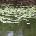 ���� �������, ������� - ��������� 28 ������ 2017 � ������ ��������