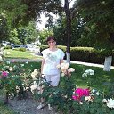 ���� ��������, ������������, 74 ���� - ��������� 31 ����� 2018