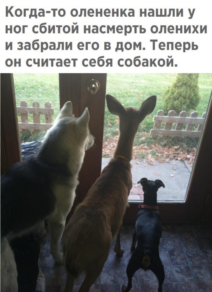   - 29  2018  04:11