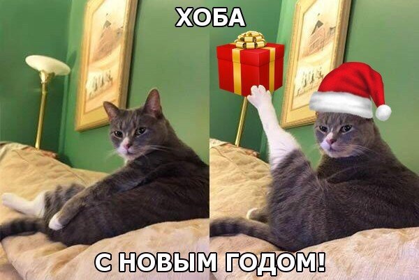  - 2  2018  03:53