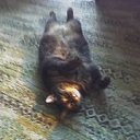 ��� ������� ���� (������ 24.09.2015 - ������� � ����� 1998)