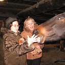 ���� ������, ������������ - ��������� 15 ������ 2018 � ������ ���� ����������