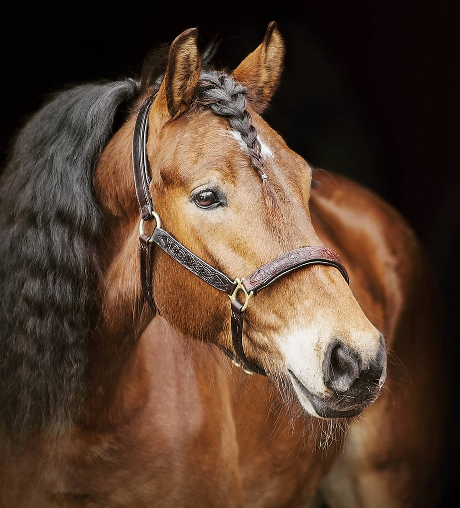  -   ! - 14  2018  02:34