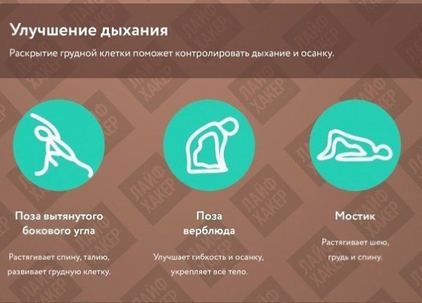 Самые полезные асаны.Йога помогает избавиться от напряжения, укрепить мышцы всего тела, улучшить ...