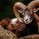 ���� ����, ������-��-����, 62 ���� - ��������� 22 ������ 2017 � ������ ������ ��������