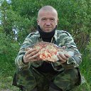  Dmitry,  , 50  -  11  2018    