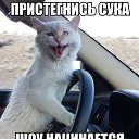 ���� ����, ��������, 36 ��� - ��������� 19 ������ 2018 � ������ ������ ��������