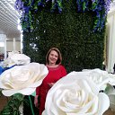 ����� �����, �. ���������, 14.01.2018 �. �� ������� ���� ����������