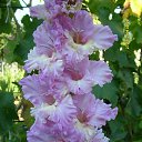 ���� �����, ������ - ��������� 13 ���� 2018 � ������ ���� ���������