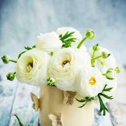 �����, ������, 45 ���