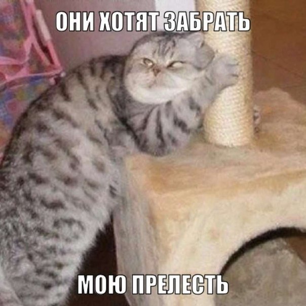   :3 - 28  2018  16:42