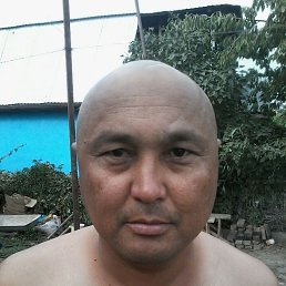 ����, ������, 56 ���