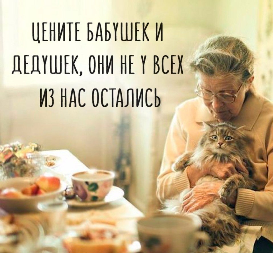   - 23  2017  03:44