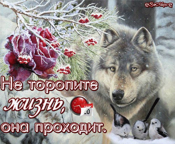 Не отпускайте тех, с кем счастлива душа, Кто дарит радость просто существуя. Быть может их прислали ...
