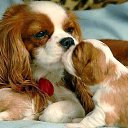  Elena....,  -  2  2018    