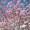  -   !,  -  14  2018    .   2018