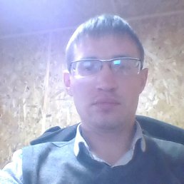 ���������, ��������, 37 ���