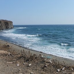 �������, �����������, 41 ���