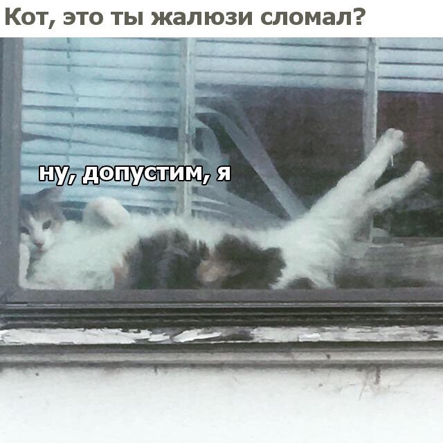       - 12  2018  03:43