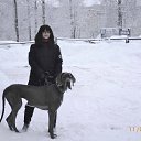 ���� ������, ���������, 63 ���� - ��������� 12 ������ 2018 � ������ ������ ��������