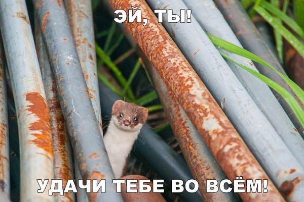    :D - 6  2017  03:39