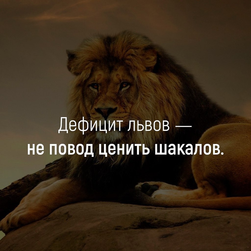 Ирина - 6 июня 2018 в 18:33
