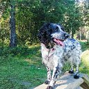 ���� �����, �������, 62 ���� - ��������� 5 ��� 2018 � ������ ���� ����������