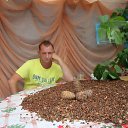 ���� ����, �����������, 53 ���� - ��������� 27 ���� 2018 � ������ ���� ����������