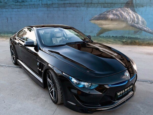 BMW Bullshark    Vilner