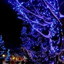 ���� �����, ����, 40 ��� - ��������� 25 ������ 2017 � ������ �����
