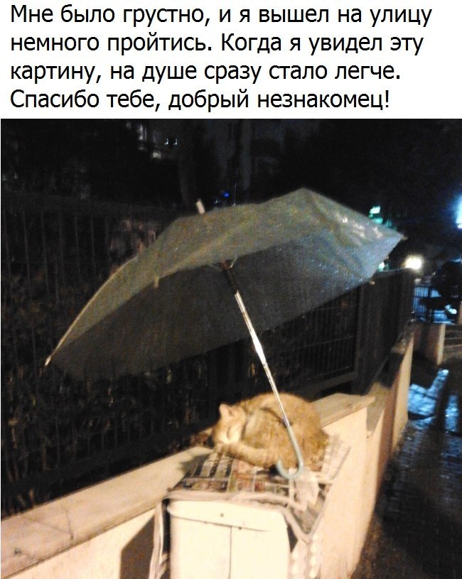   -   - 25  2018  04:29