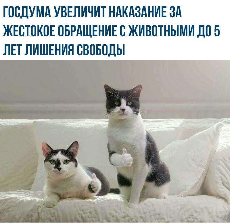 Лайфхак - 9 декабря 2017 в 05:05