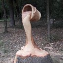 ���� �������, ������, 64 ���� - ��������� 31 ������� 2017 � ������ ������ ��������