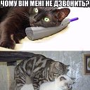 ���� ����, ����� - ��������� 25 ������ 2018 � ������ ������ ��������