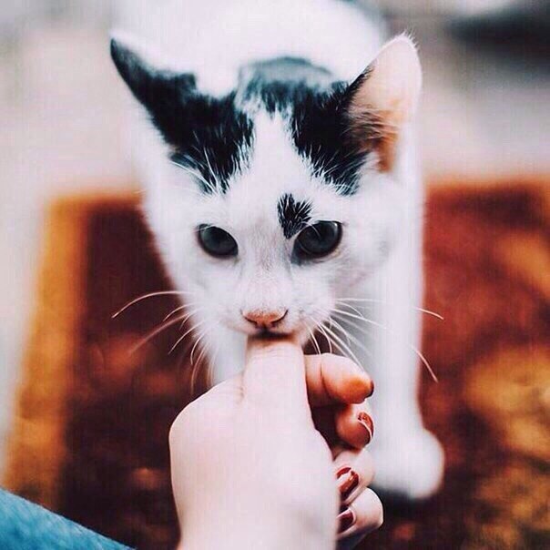       - 16  2018  04:07 - 3