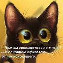 ���� ����, ���������, 45 ��� - ��������� 4 ������ 2018 � ������ ���� ����������