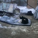 ���� �������, �������, 53 ���� - ��������� 24 ������ 2018 � ������ ���� ����������