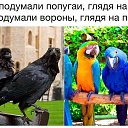 ���� ���������, ���������, 52 ���� - ��������� 14 ����� 2018 � ������ ���� ����������
