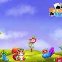 ���� ���, �����-��������� - ��������� 19 ������� 2017 � ������ �������� �������-�������