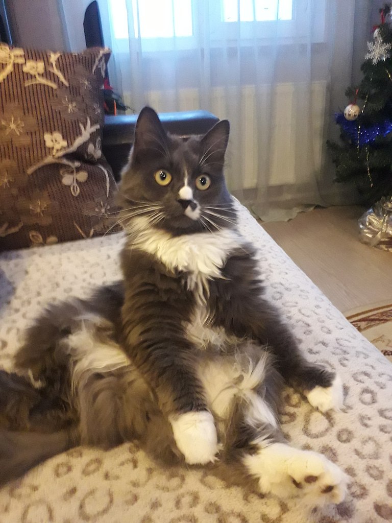  ?
