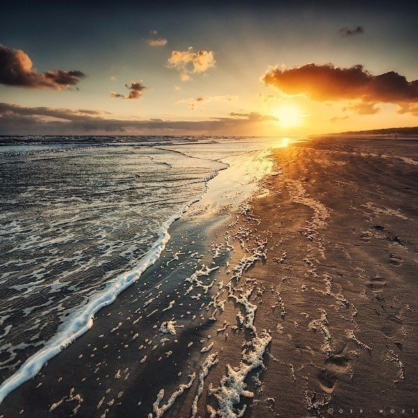 ��������� �������� �� ����������� Oer Wout. - 7