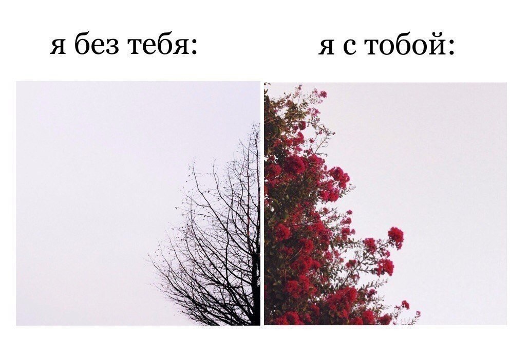    - 16  2018  03:56
